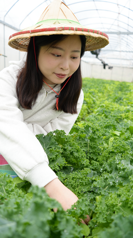 悅來低碳旅行 荒野廚房採菜
