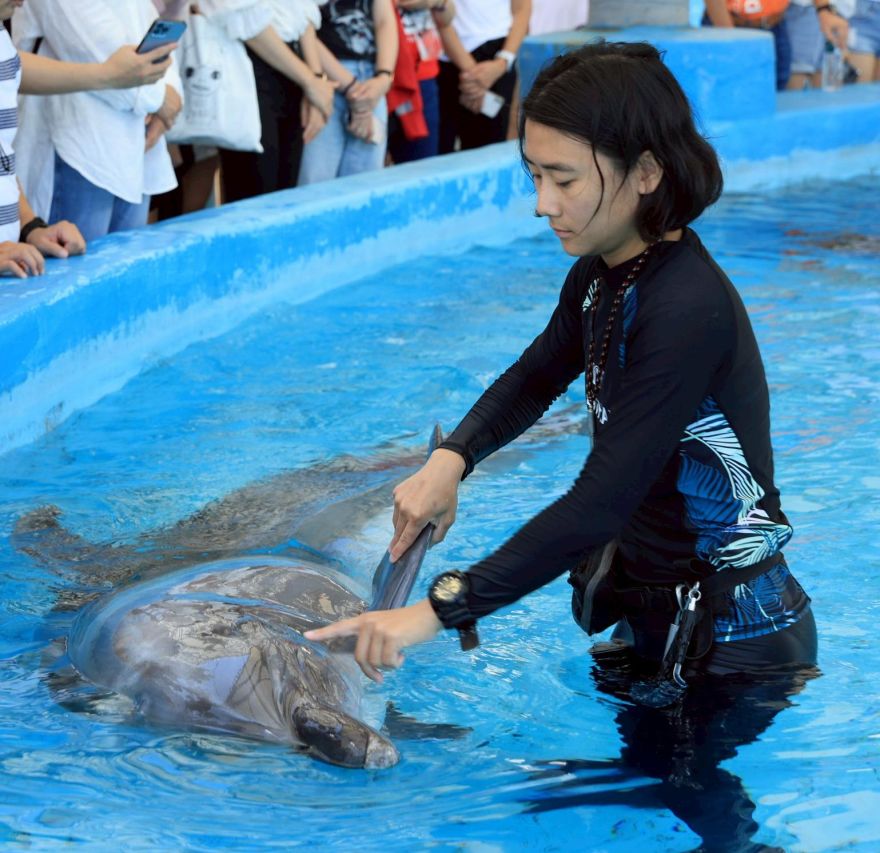定格美好時光，讓回憶在此[停留]