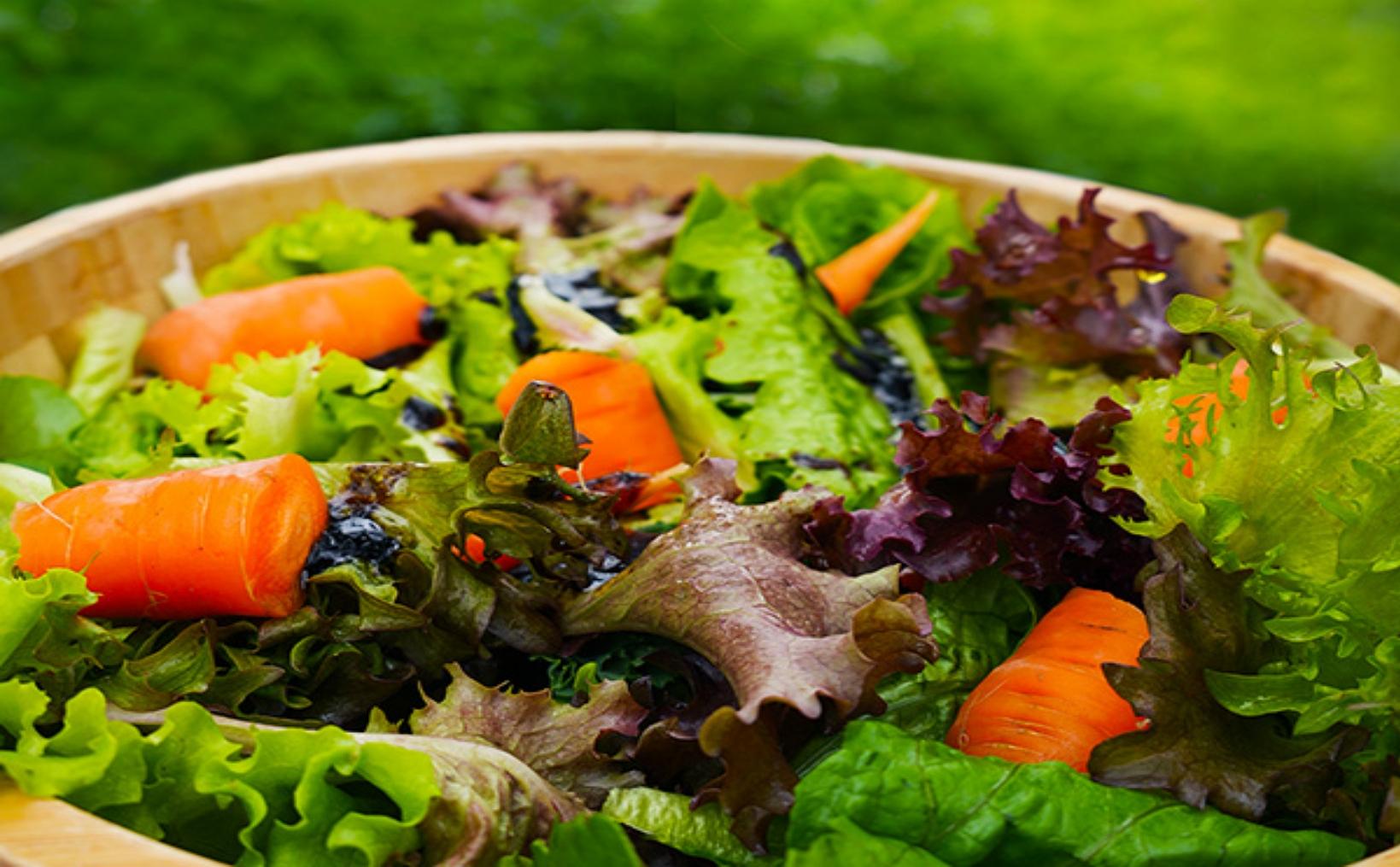 Small Farmers Cooperative Breakfast | Local Green Food Power | Farm to Table Practice