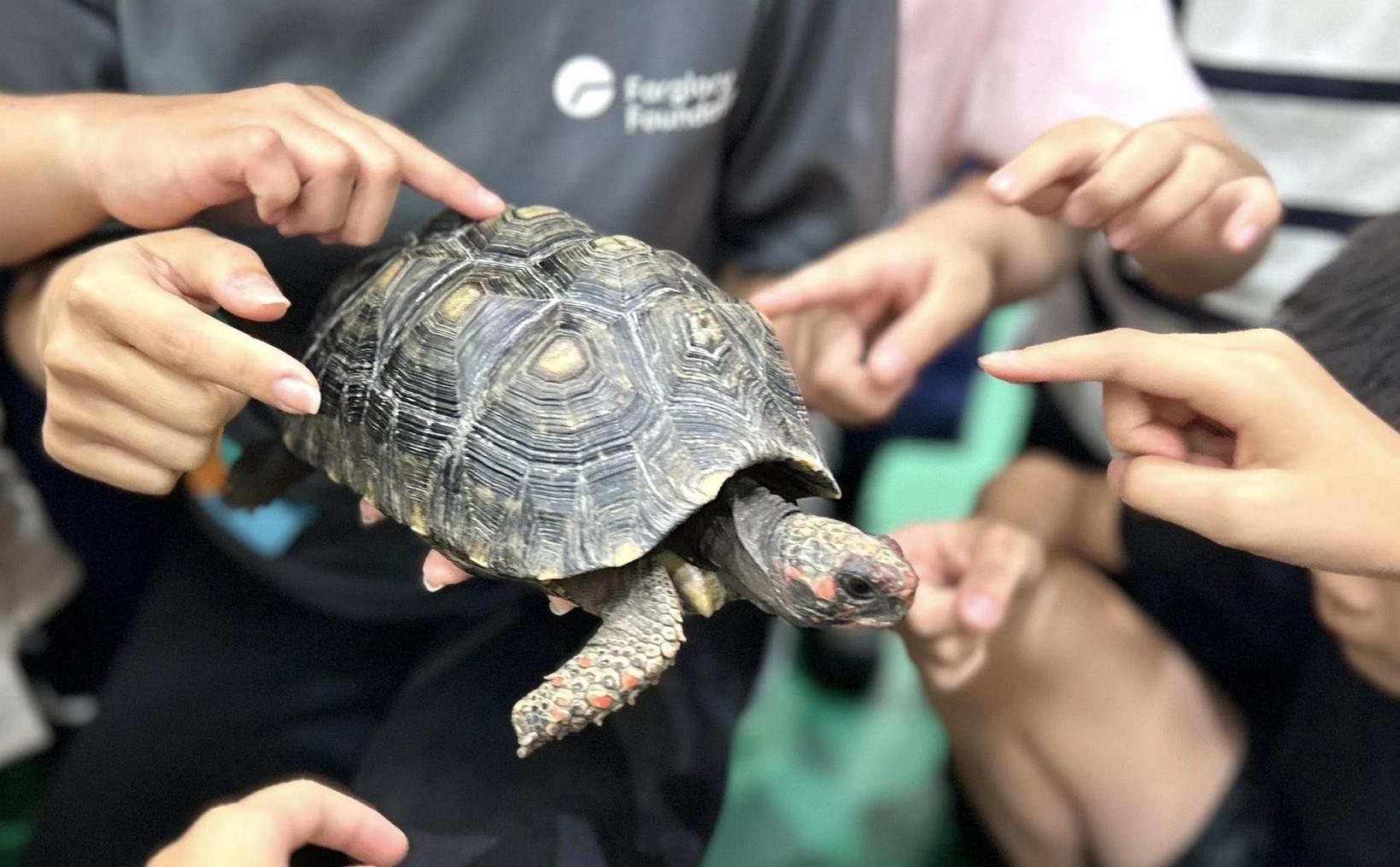 Campus Environmental Education Train
