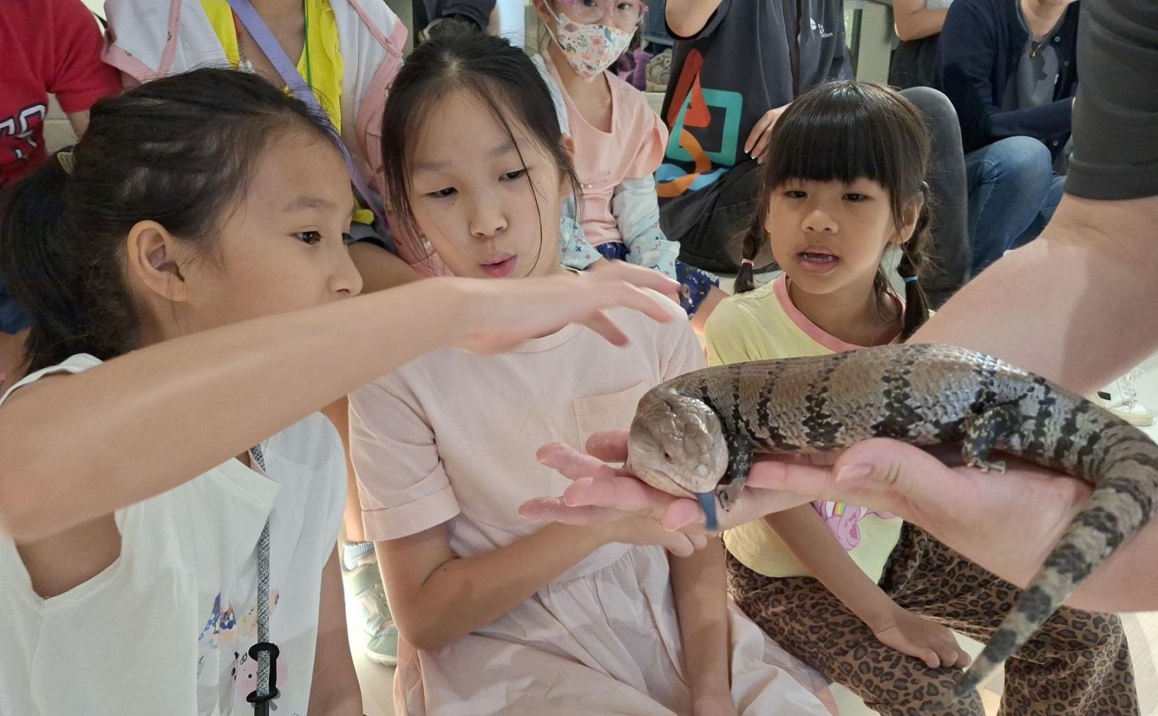 Environmental Education Train Debuts at BEONE Future Coexistence Base | Whale and Dolphin Elementary School Creates Immersive Sustainable Education