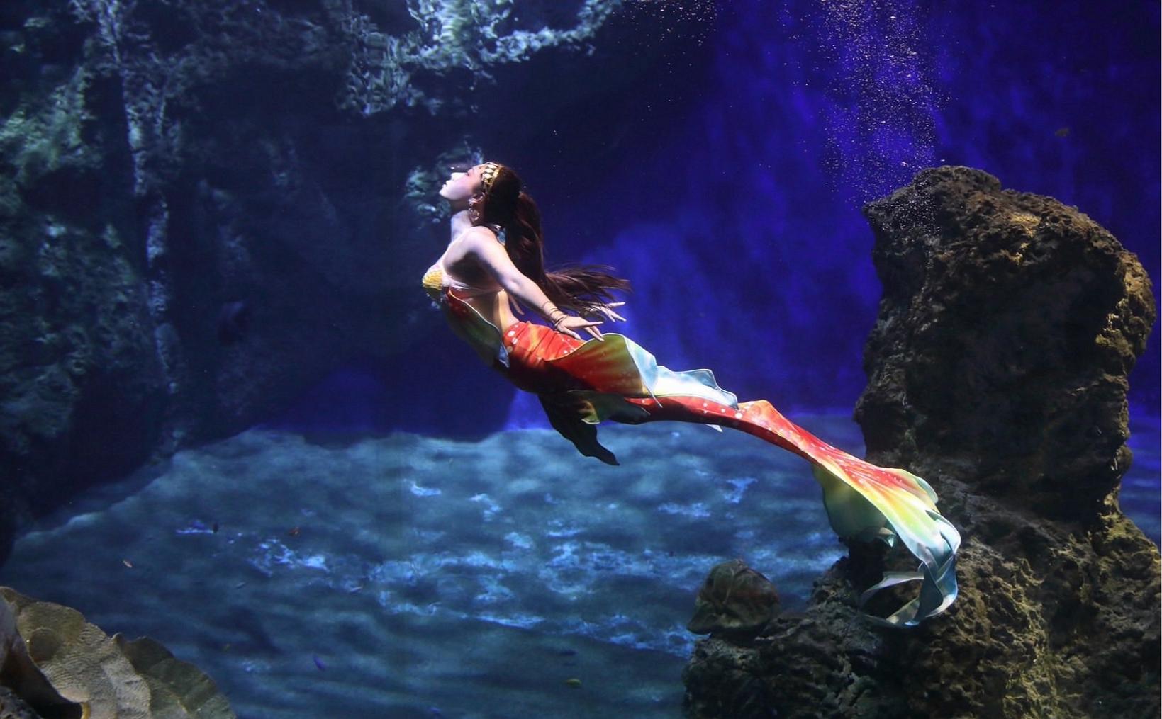 2025 Mermaid Carnival grand debut | Farglory Ocean Park creates an international-level immersive experience