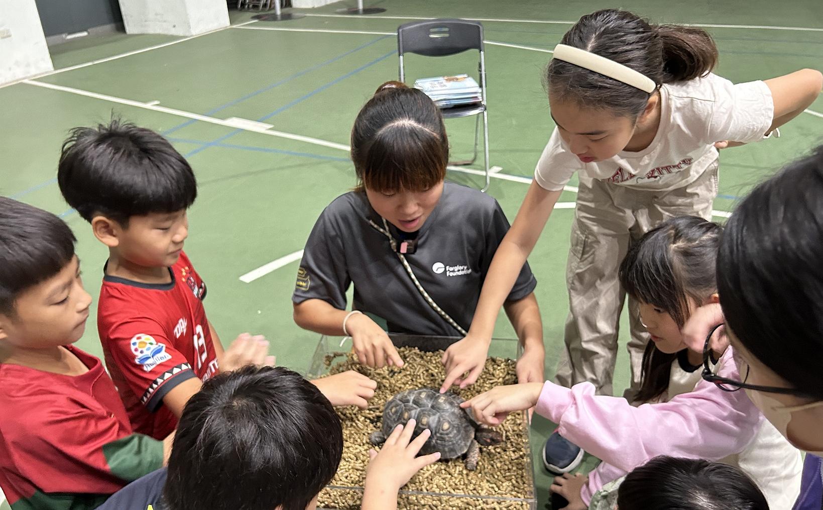 守護瀕危海龜|遠雄海洋公園攜手花蓮縣府成立救傷據點